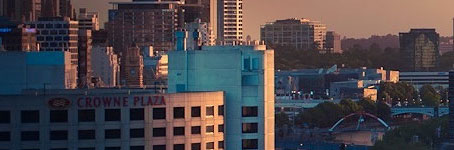 【软件使用教程】图文详解的cc网页端