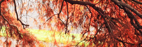 ddos压力测试平台