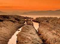 即时处理的免费ddos网页端